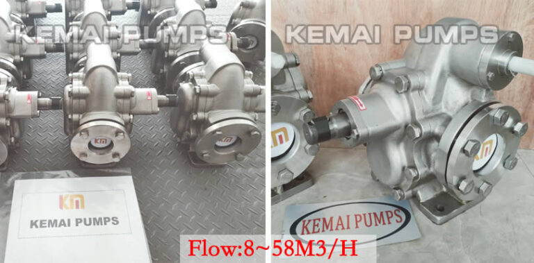 Stainless Steel Gear Pump Rotary & Internal | Pumps & Couplings