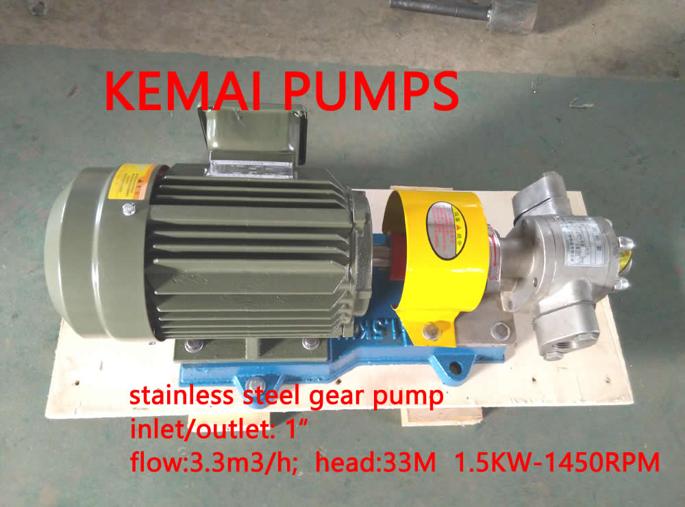 Stainless Steel Gear Pump